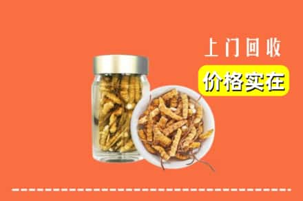 收购资讯:和田地区回收散虫草