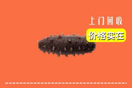 收购资讯:和田地区回收海参