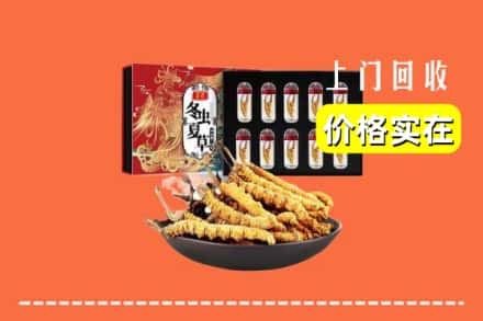 和田地区回收虫草
